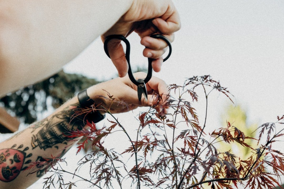 Hand testing the fit of pruning shears on a plant stem