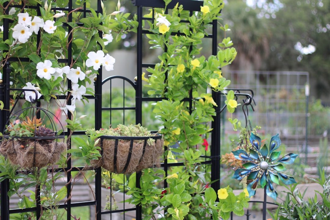 Freestanding vertical garden and trellis on a small patio